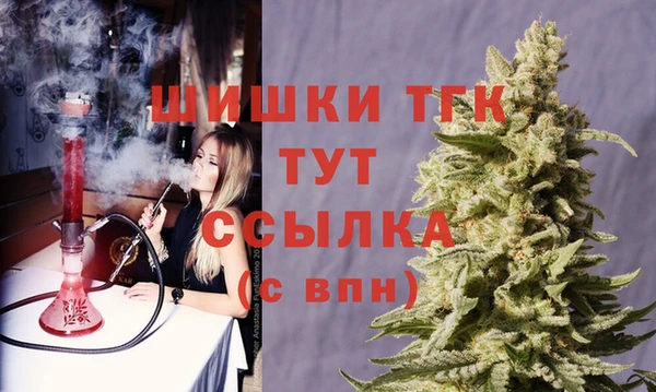 ешки Верхний Тагил