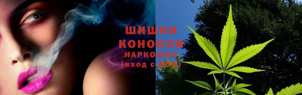 ешки Верхний Тагил