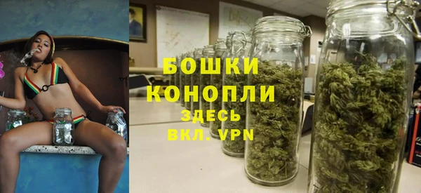 ешки Верхний Тагил