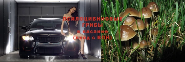 jwh Верея