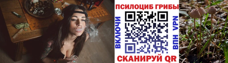 Галлюциногенные грибы Psilocybe  Купить закладки  Новодвинск 