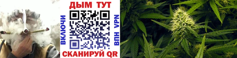 Каннабис тримм  Купить закладки  Новодвинск 
